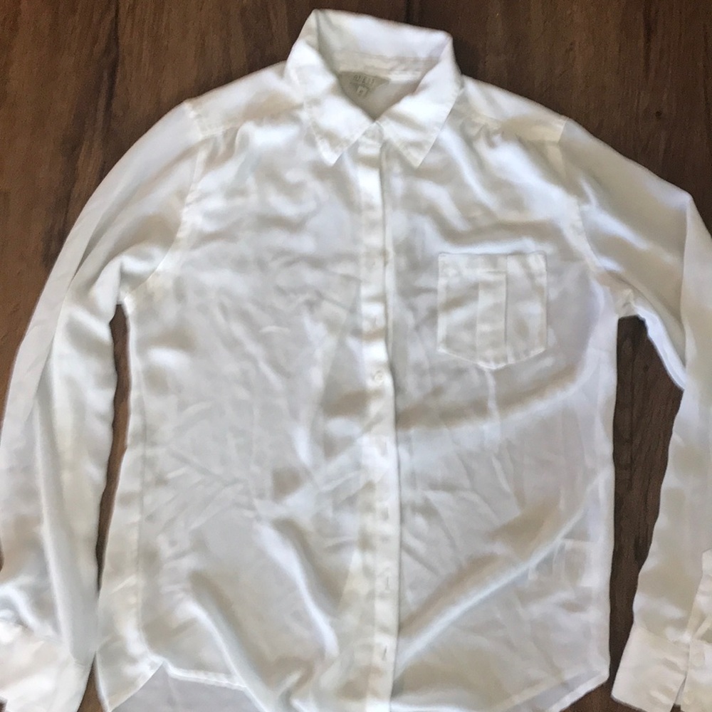 Delicate sheer button down shirt.
